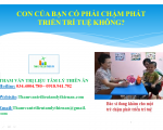 CON CỦA BẠN CÓ CHẬM PHÁT TRIỂN TRÍ TUỆ KHÔNG?